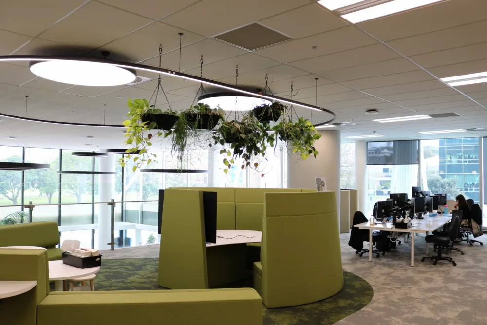 suspended plants