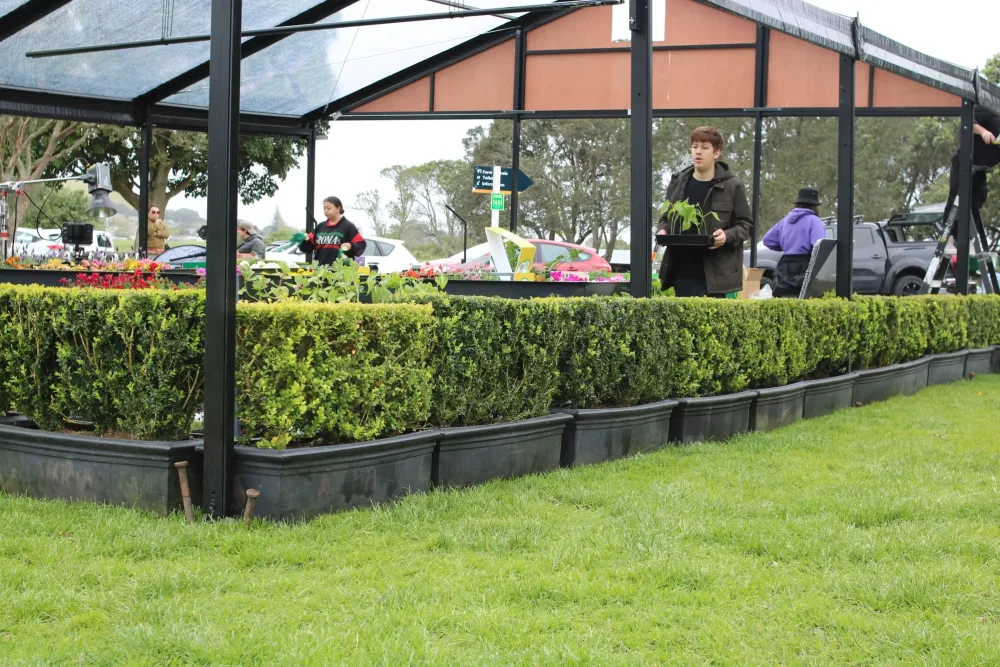 hedging