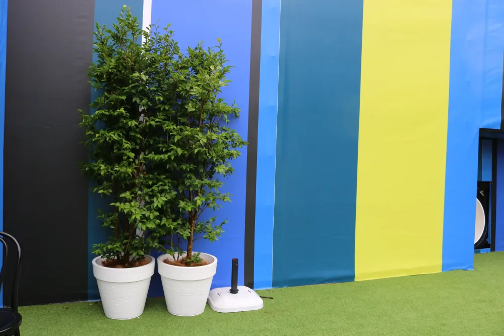 floor-standing plants