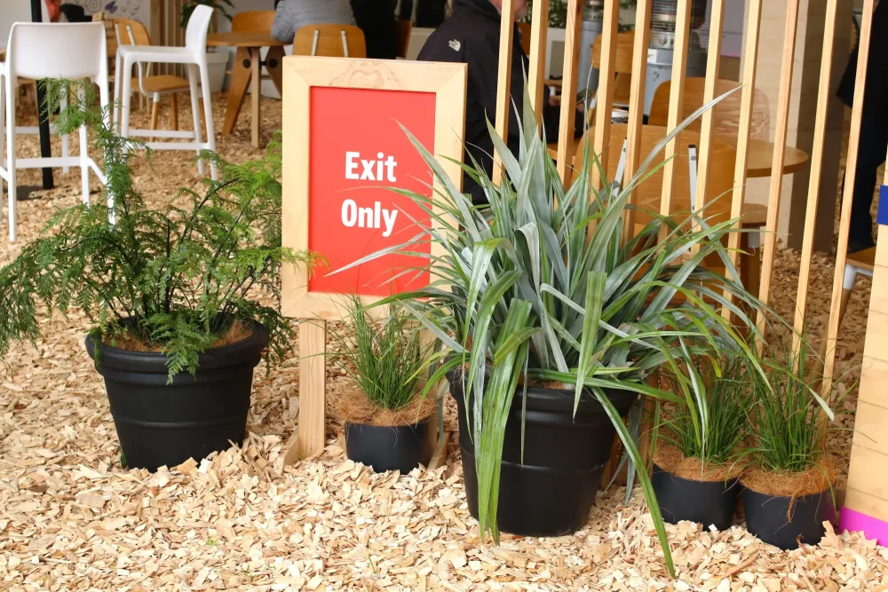 small plants