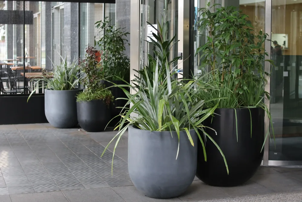  outdoor planters 