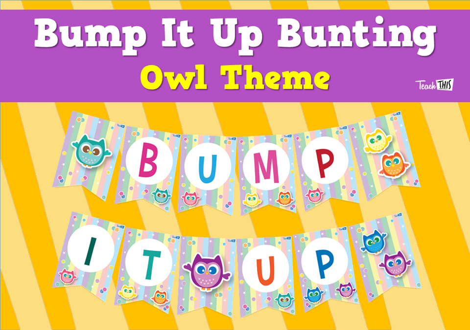 Bump It Up Bunting - Owl Theme