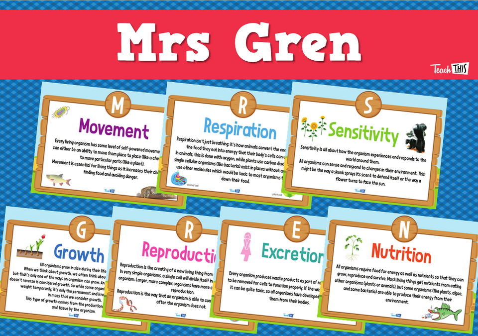 Mrs Gren