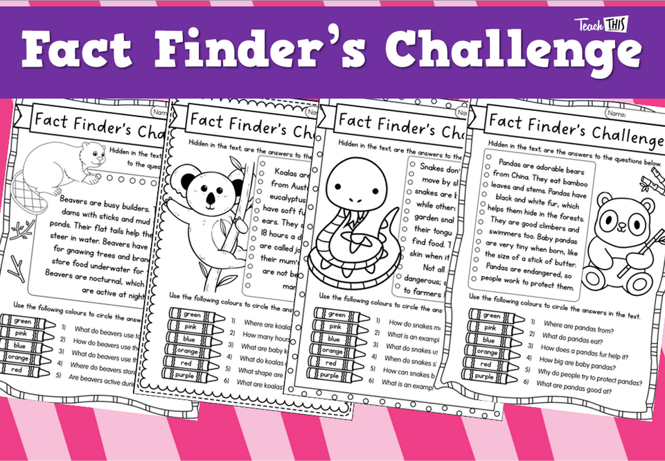 Fact Finder’s Challenge