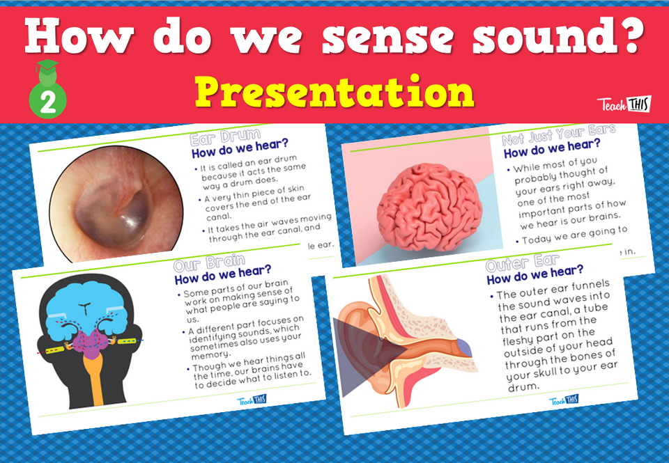 How do we sense sound? - Presentation