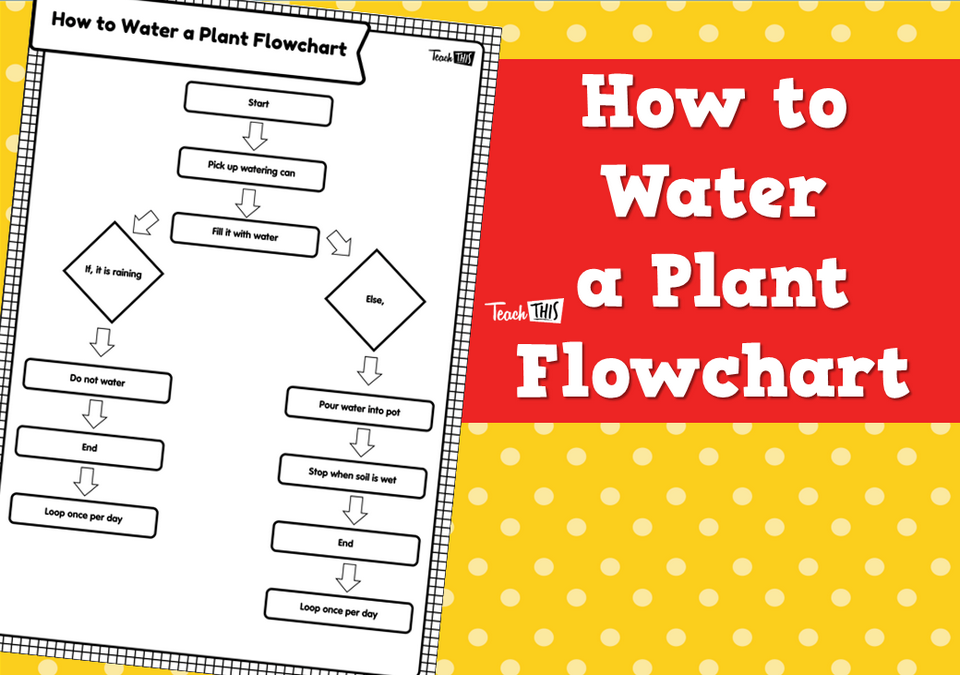How to Water a Plant Flowchart