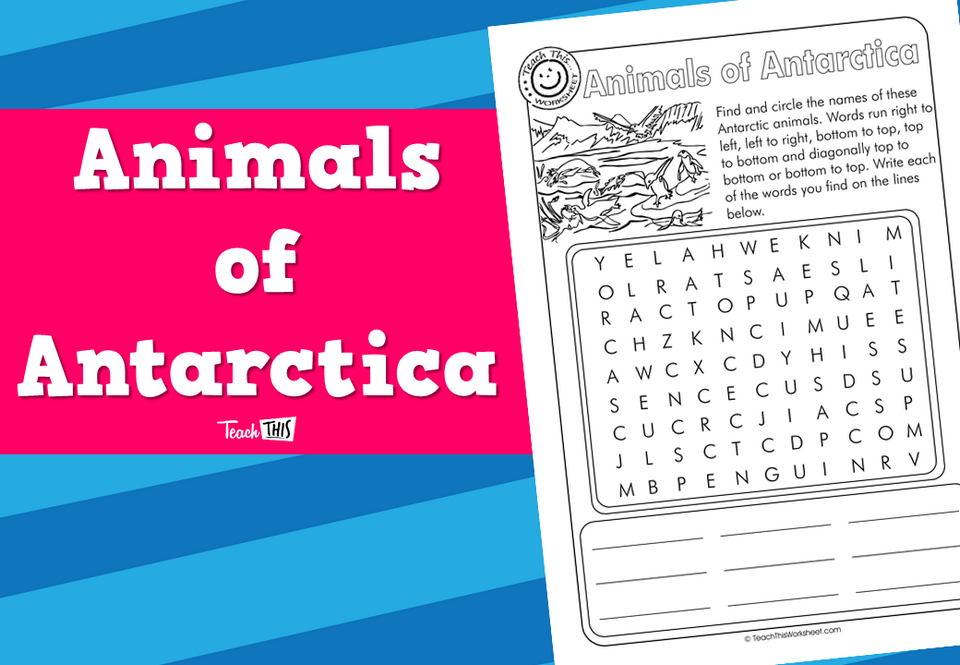 Animals of Antarctica