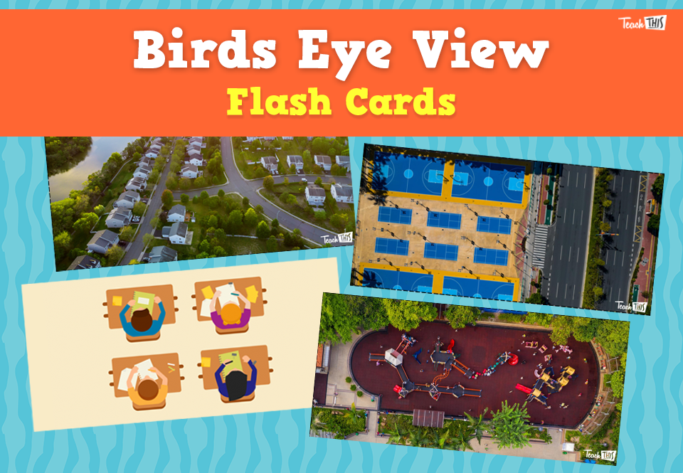 Birds Eye View - Flash Cards