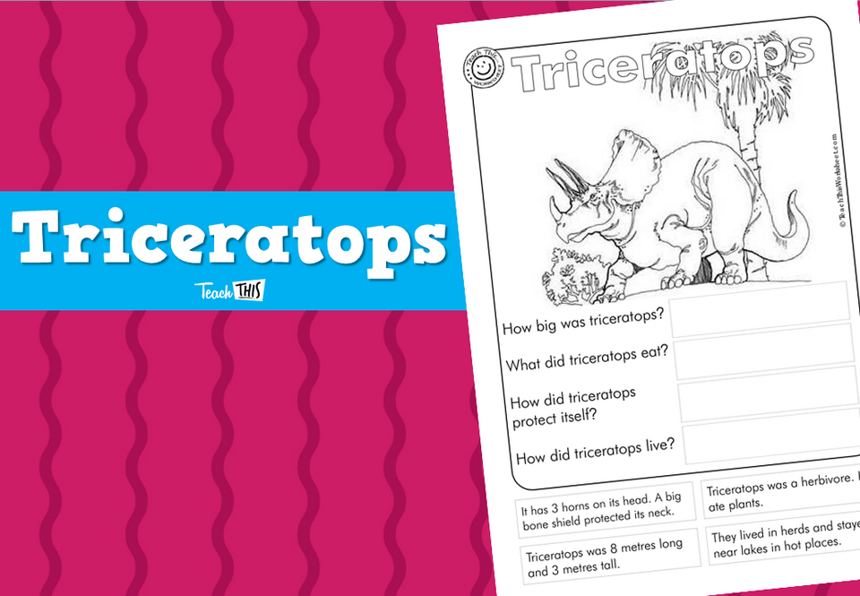 Triceratops