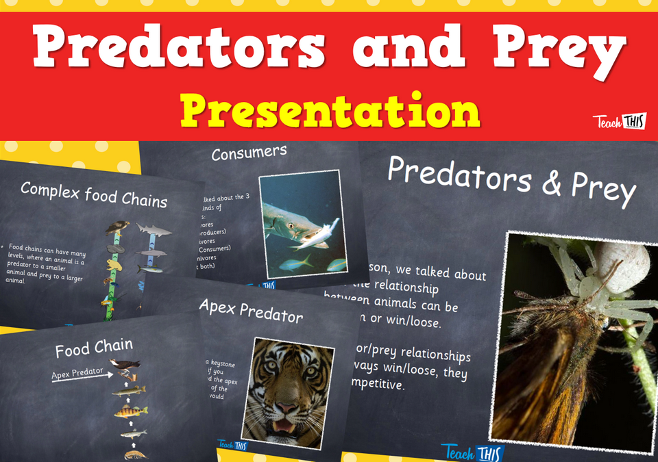 Predators and Prey - Presentation