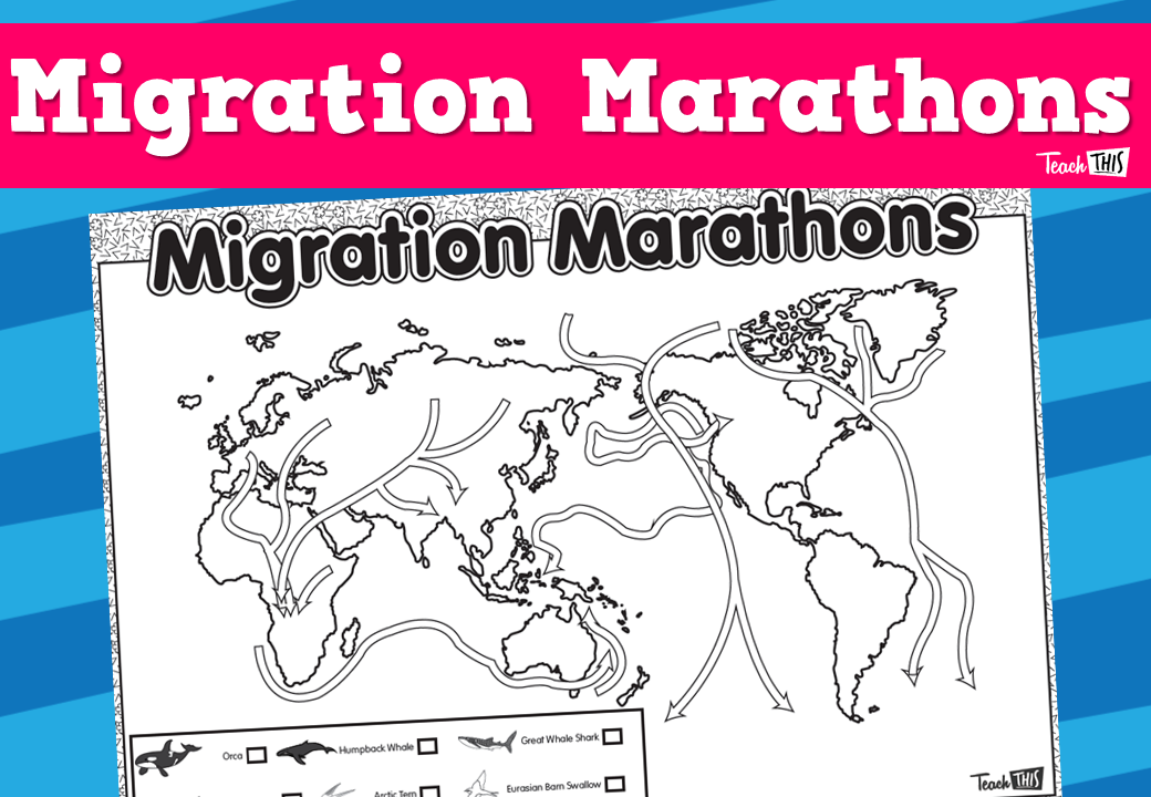 Migration Marathons