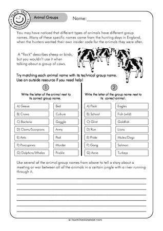 Animal Groups