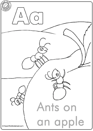 Aa - Ants on an apple