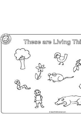 Living Things