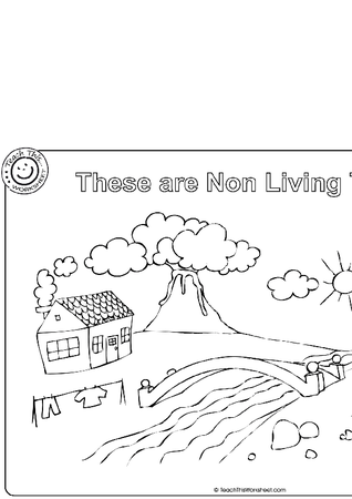 Non-Living Things