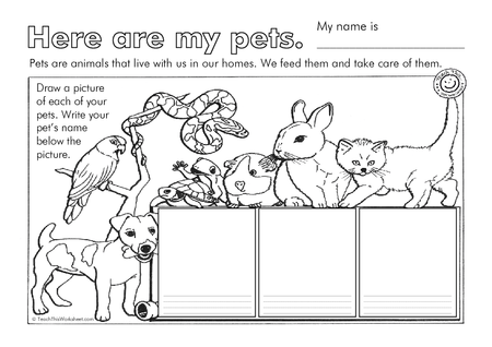 Here are my pets