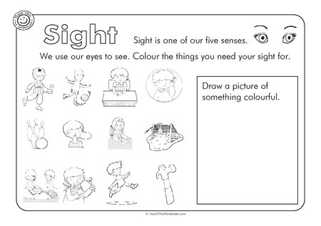 Sight