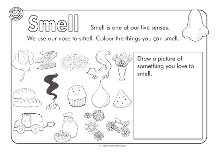 Smell