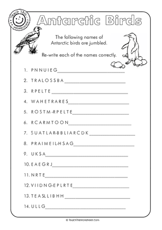 Antarctic Birds - Jumbled