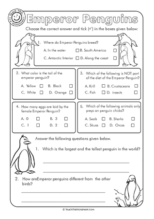 Emperor Penguins