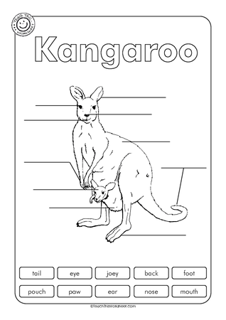 Kangaroo Labelling
