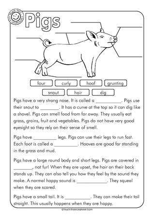 Pig -  Label and Cloze