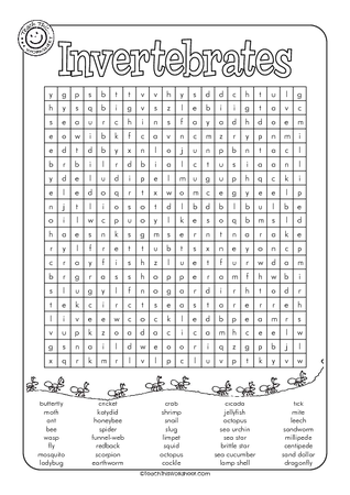 Invertebrates Wordsearch