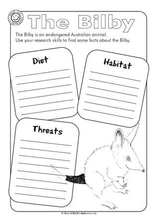 The Bilby