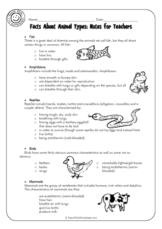Facts about Animal Types