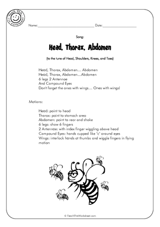 Head Thorax Abdomen Song