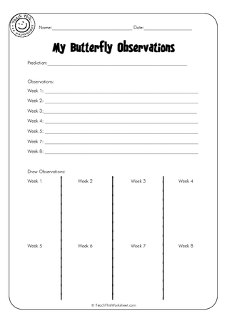 My Butterfly Observations