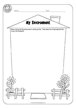 My Environment