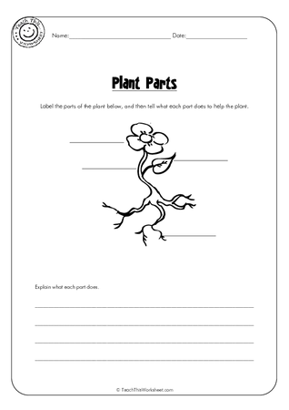 Plant Parts