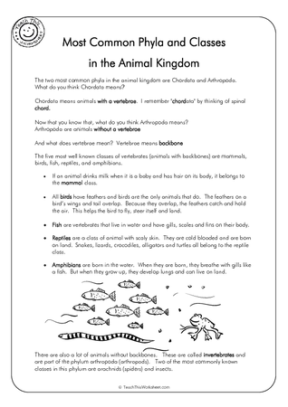 Common Phyla and Classes in the Animal Kingdom (2 pg)