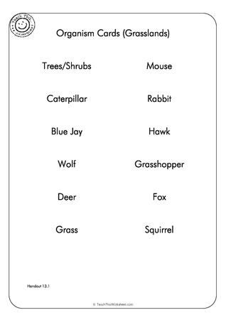 Grasslands Organisms