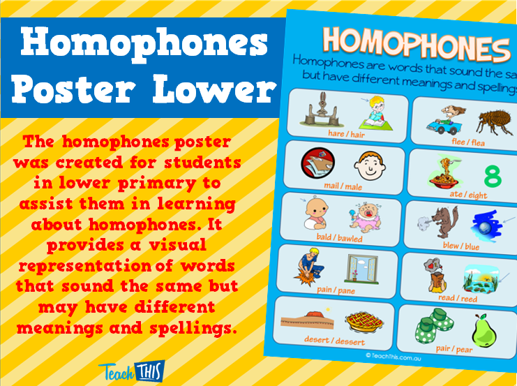 Homophones Poster Lower