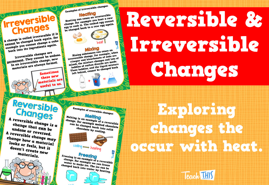 Reversible Irreversible Changes Posters