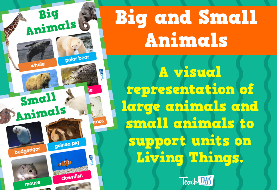 Big and Small Animals