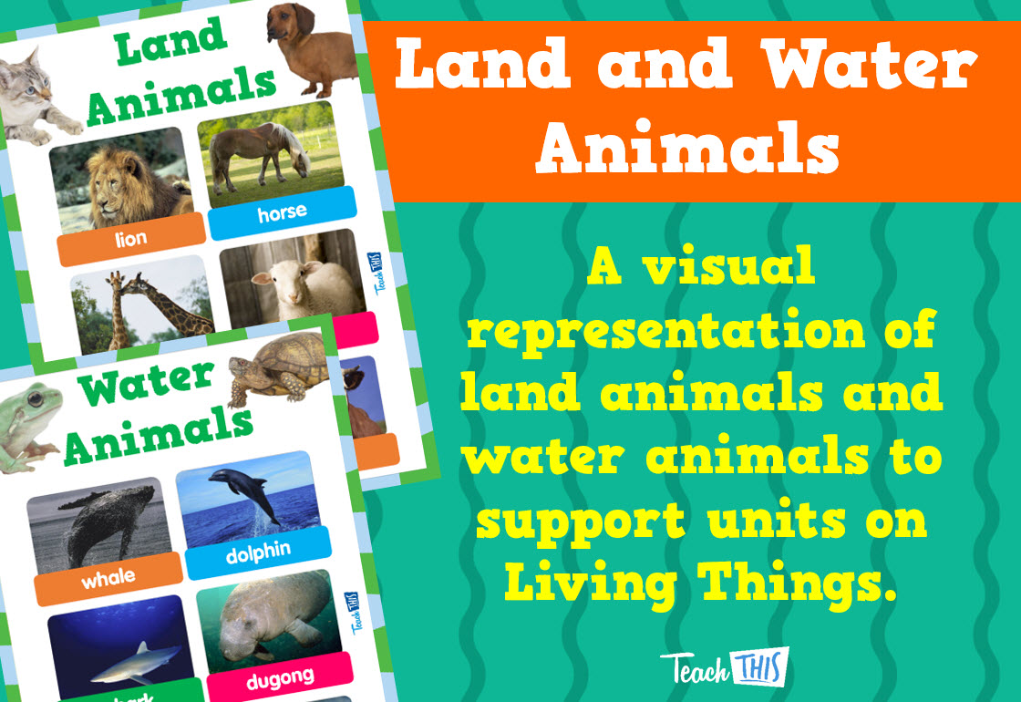 Land and Water Animals