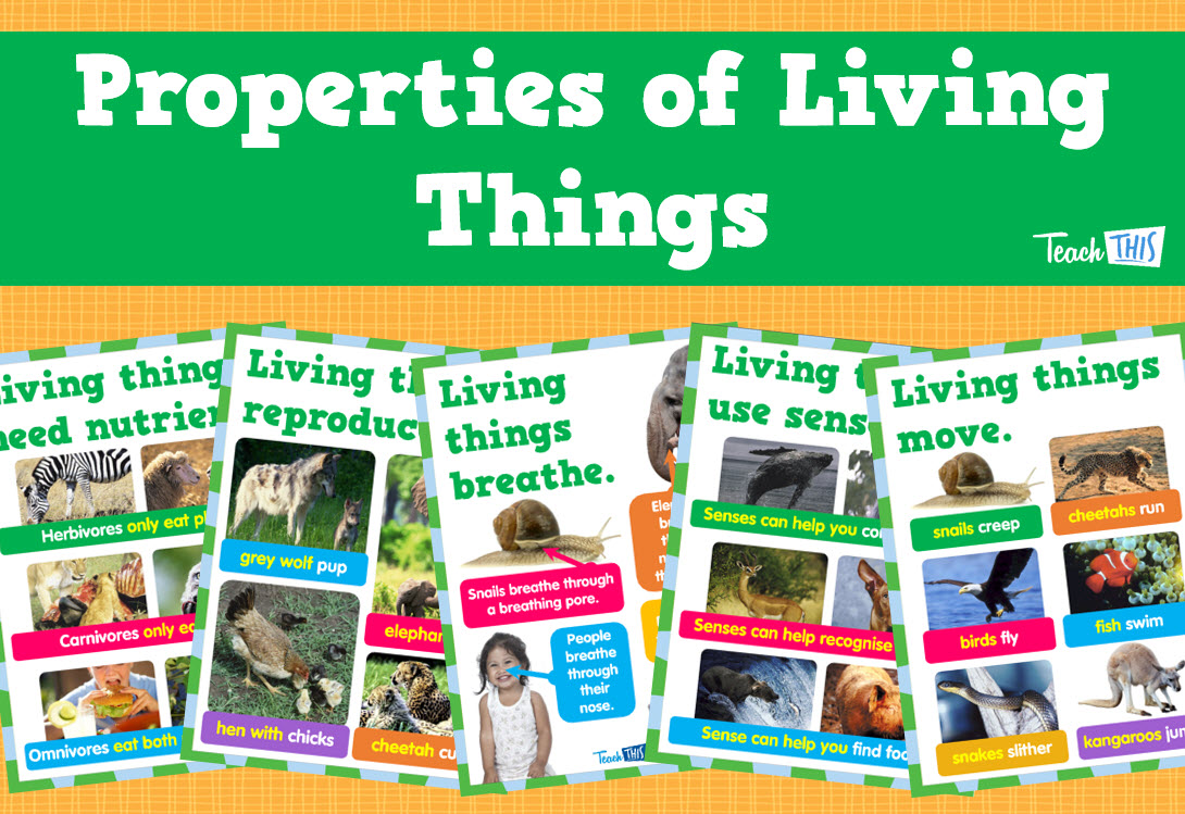 Properties of Living Things