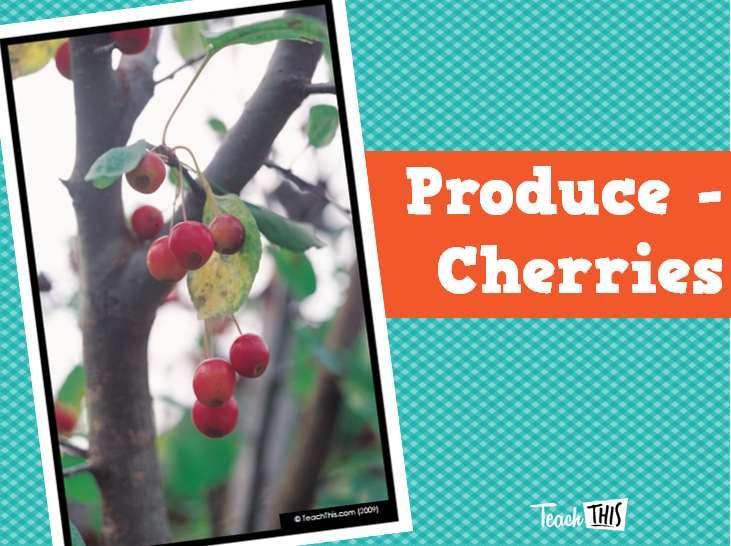 Produce - Cherries