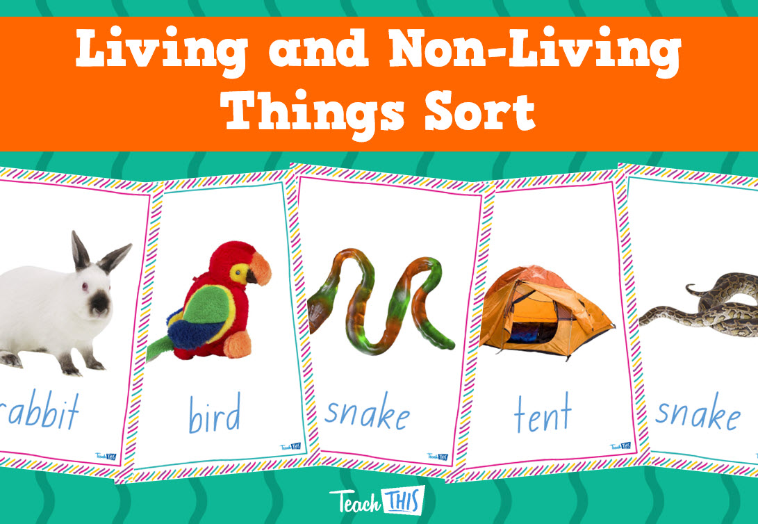Living and Non-Living Things Sort