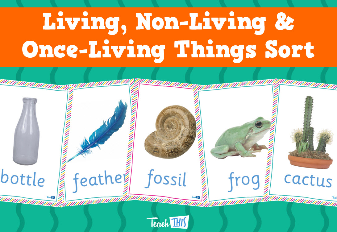 Living, Non-Living and Once-Living Things Sort