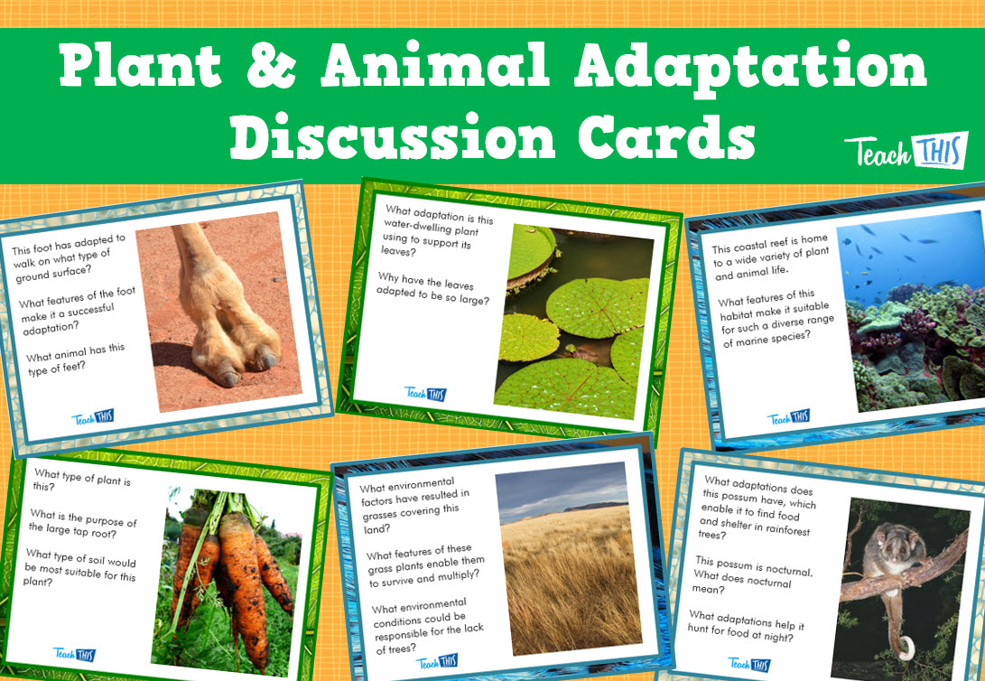 Plant & Animal Adaptation Discussion Cards - Set of 24