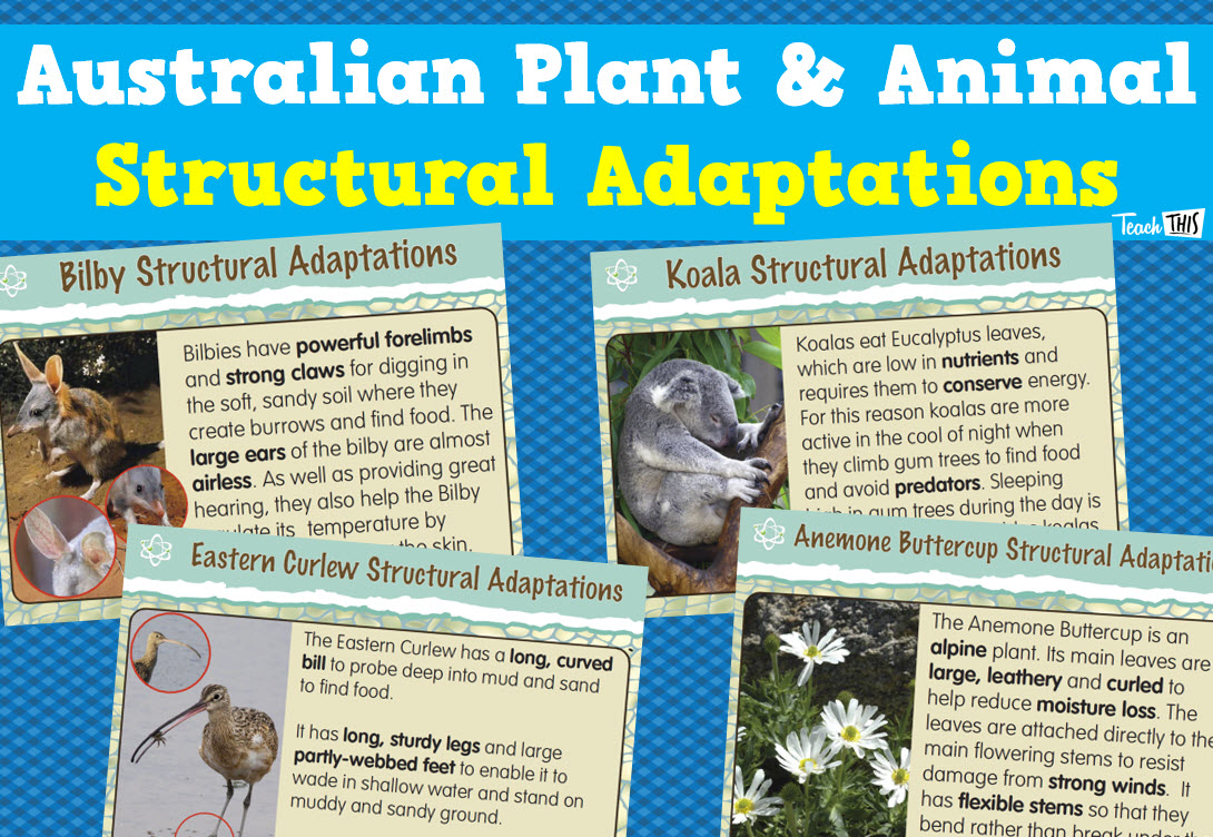 Australian Plant and Animal Structural Adaptations