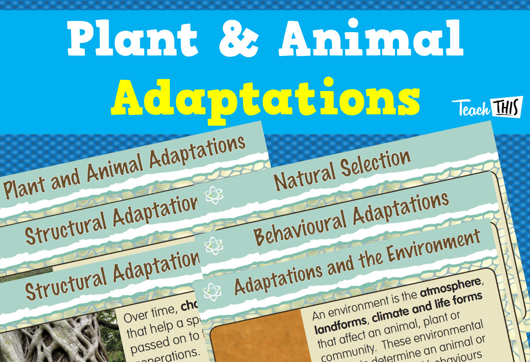 Plant and Animal Adaptations