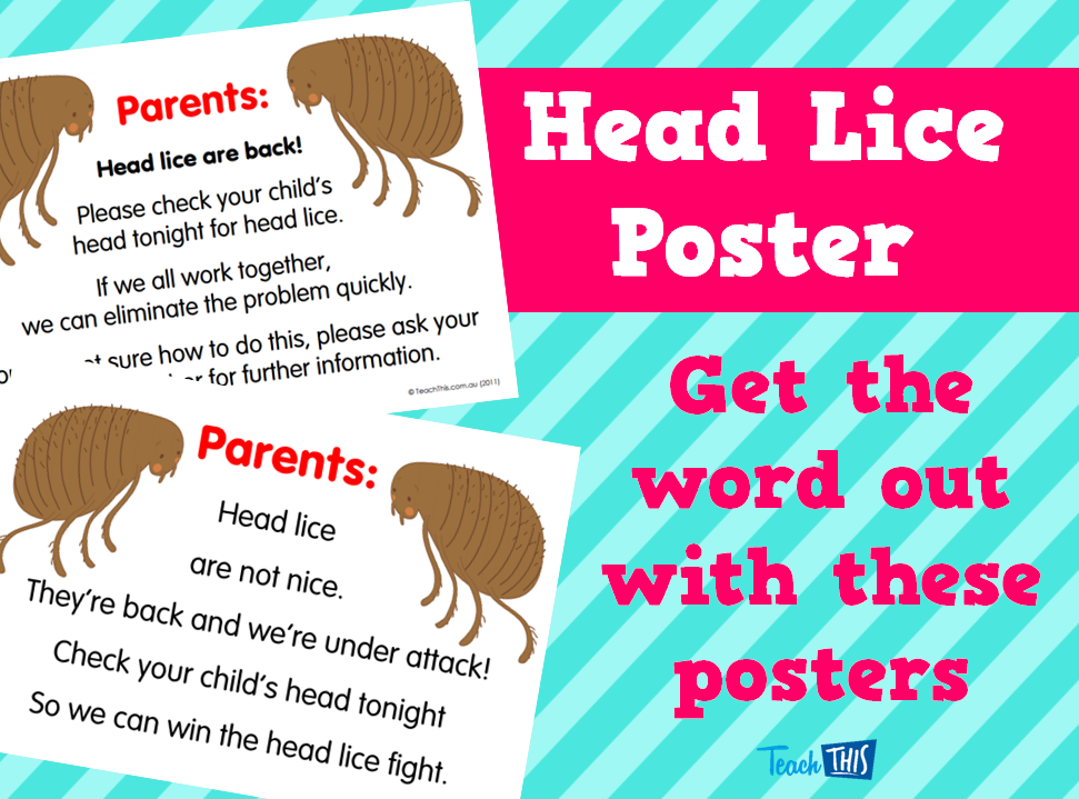 Head Lice Poster