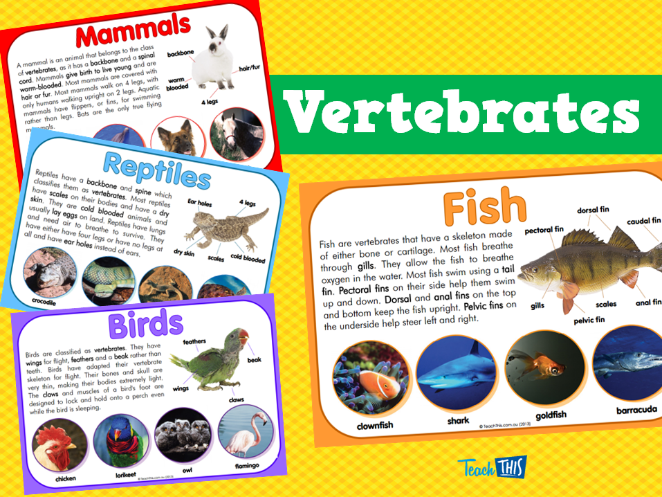 Vertebrates