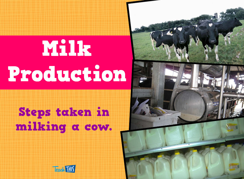 Milk Production