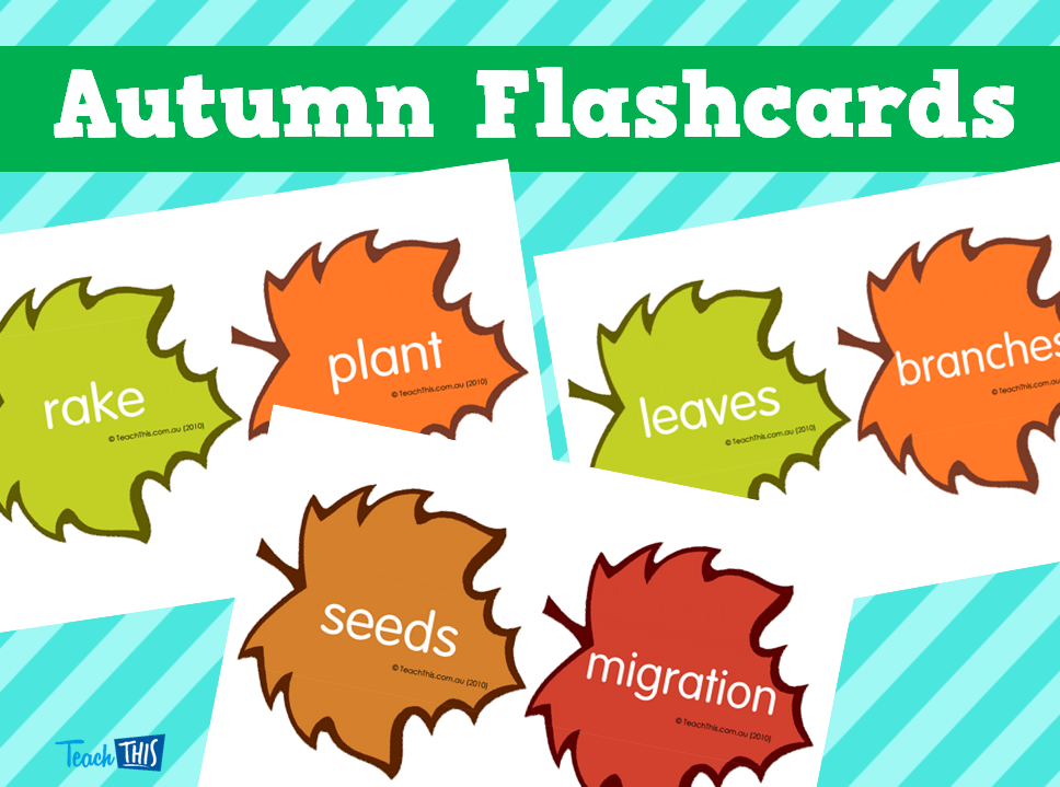 Autumn Flashcards